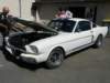 pxr_dscf2124_small.jpg