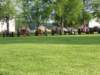 pxr_dscf1359_small.jpg